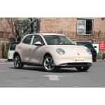 Energy Vehicles 2024 White Great Wall Ora Good Cat 400 Light Edition EV Car for