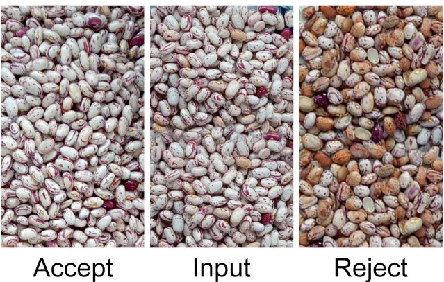 High Output Farmland Automatic Haricot Navy Beans Color Sorter Popular in the USA