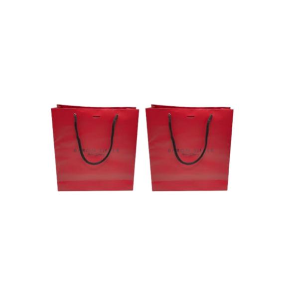 Customized Printing Bulk Paper Shopping Bags PP Rope/Nylon Rope/Twisted Paper