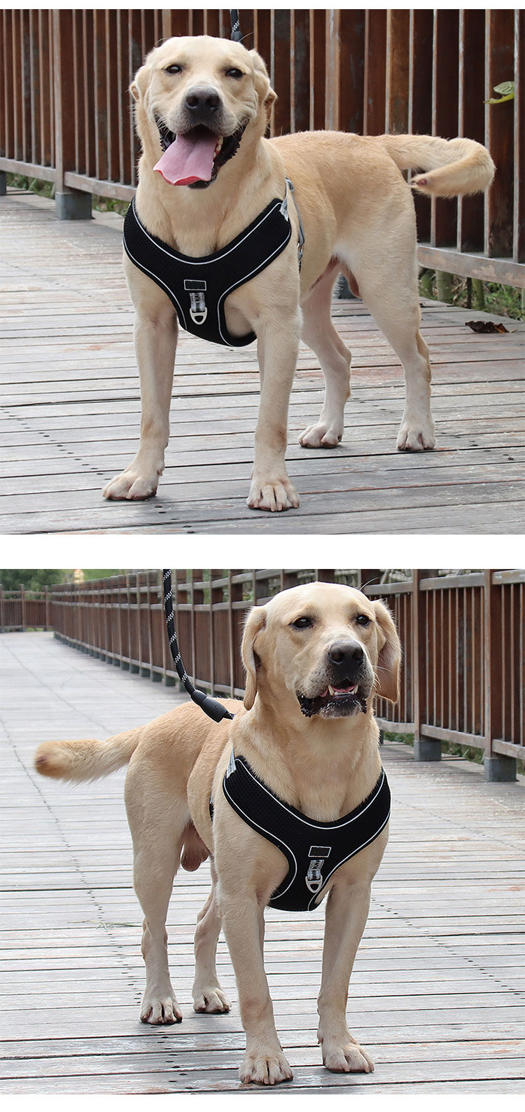 Plain Fabric Dog Cooling Vest Mesh Breathable Dog Body Harness And Leash