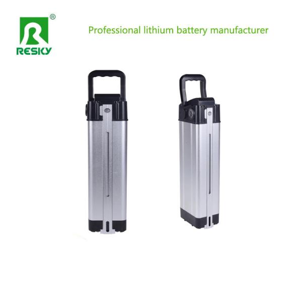 Silverfish Lithium Battery 48V 15.6ah 500W Storage Li-Ion 18650 Battery Pack For