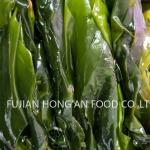 Green Kelp Sprouts Rich Umami Flavor Dried Japanese Kombu Laminaria Japonica