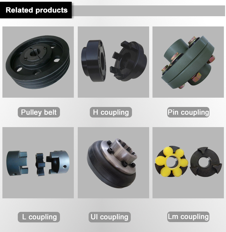 Power Flexible Drive Coupling Steel Sprocket Chain Coupling Customized