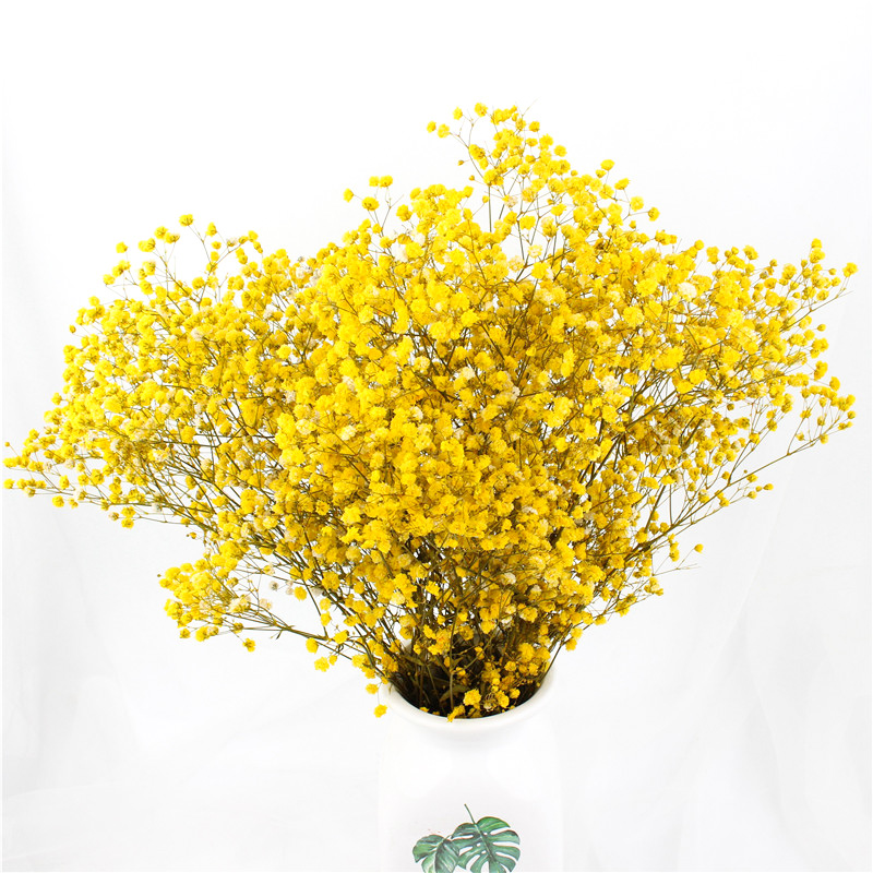 Non Toxic Harmless Preserved Baby Breath Flowers For Ins Valentine Gift