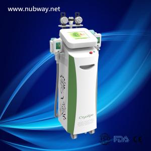 Wholesale Cryoilpolysis Slimming Machine with 2 Big Size Cryoilpolysis Working Together from china suppliers