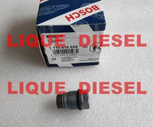 Wholesale BOSCH Pressure Relief Valve 1110010024 , 1 110 010 024 , 1110 010 024 from china suppliers