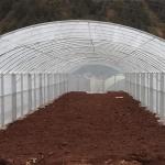 Double Film Double Arches Greenhouse Vegetable Growing 2.8m Tunnel Plastic