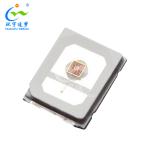 Multicolor 2835 SMD LED Chip 0.2W 0.5W Long lifespan