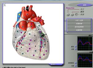 Wholesale Body Composition 3d Nls Health Analyzer For Body Detection / Repair Treatment from china suppliers