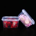 Kitchen Plastic Storage Container Clamshell Plastic Crisper