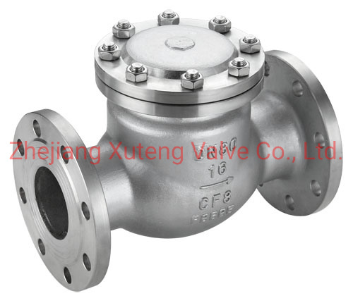 Xtv 4 Inch DN100 Stainless Steel Body Flange End Swing Check Valve