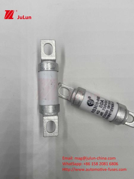 750VDC Ceramic Automotive Fuses 14. Ceramic Tube 20x46mm 15A 40A 50A RS308 HB G