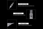 New Permanent Makeup disposable Tattoo needle Stainless steel OEM Accepted