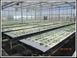 Wholesale PE Plastic Film Hydroponic Multi Span Greenhouse For Vegetable Growing from china suppliers