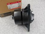 Water Pump for DCEC Dongfeng Cummins 6L ISLE Engine 3973114 5402699 4934058 and