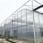 Steel Tructure UV Resistant Film Poly Tunnel Multi-span Vegetable Greenhouse for
