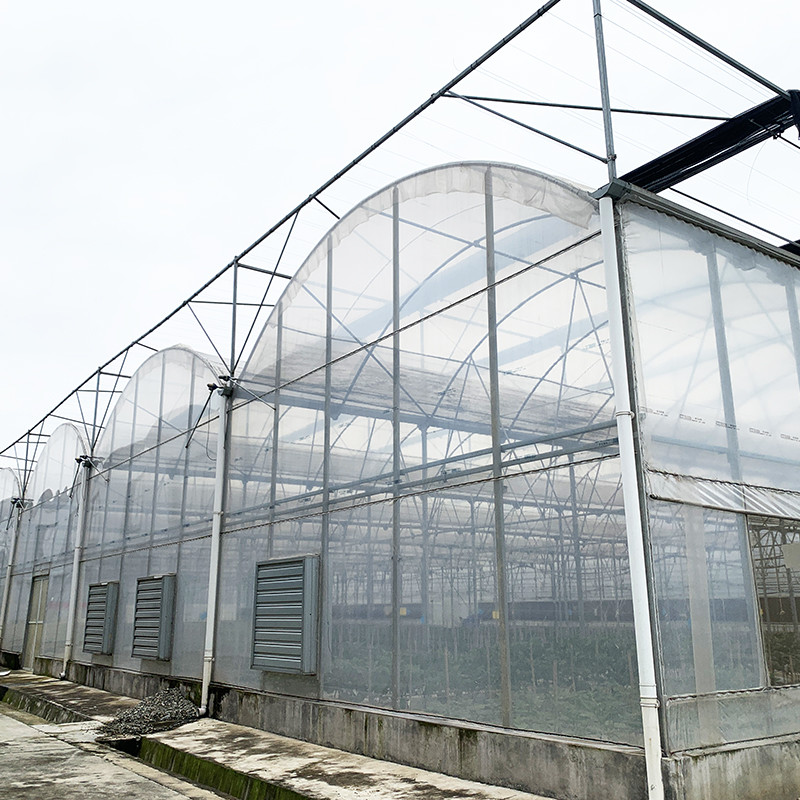 30*10m Poly Tunnel Galvanized Frame Multi-span Agricultural Greenhouse For Tomato