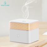 LED Warm White 100ML Essential Oil Diffuser