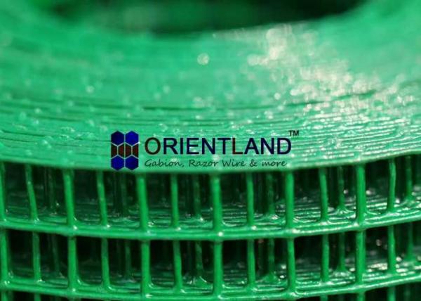 Quality High Strength Ss Weld Mesh / Green Vinyl Coated Wire Fencing 1/2 Inch By 1/2 Inch for sale