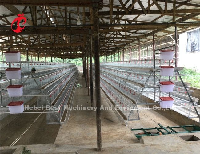 Automatic 380v Manure Removal Equipment Poultry Chicken House Floor Scraper Ada