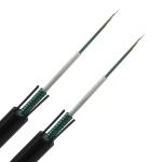 Hot Sale Factory Price 6 Core Fibre Optic Cable Armoured GYXTW Central Loose