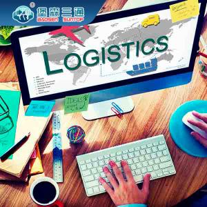 Wholesale Professional FBA International Shipping Warehousing Service from china suppliers