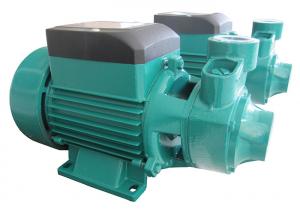 Wholesale 0.5 HP Micro Clean Water Pump , Peripheral Vortex Impeller Submersible Pumps Single Stage from china suppliers