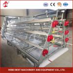 ISO14001 Certified Automatic Broiler Chicken Cage System 25 Years Long Lifespan