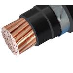 0.6/1KV Armoured 1.5~1000mm2 2 Cores LV Steel LV Wire Cable(Power Cable) （CU/PVC