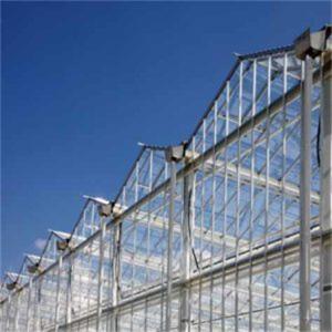 Wholesale High Light Transmission Venlo Glass Greenhouse Colorful Design for Garden from china suppliers
