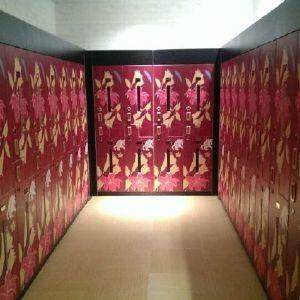 Wholesale Wood / Steel Material IOT Locker 9 Tier Commercial Storage Lockers For Spa from china suppliers