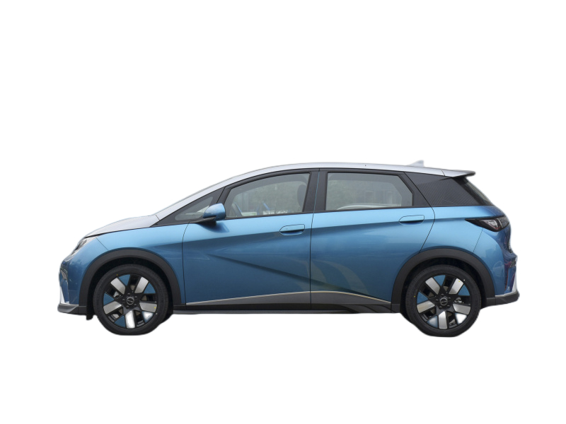 Mini Car Made in China Electric Cars 301 KM 401 KM BYD Dolphen For Sale