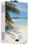 Gas Water Heater