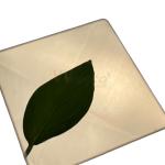 SS 316 Durable Super Mirror Stainless Steel Sheet Cold Rolled With Rose Gold