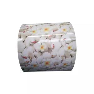 Wholesale 0.8mm Prepainted Galvalume Steel Coil PPGL SGC400 Prepainted Zinc from china suppliers