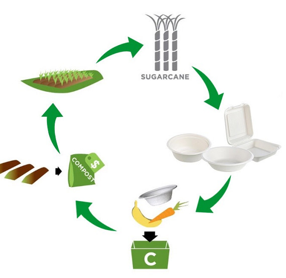 100% Biodegradable Compostable Pulp Packaging Box For Salad