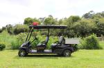 4 Seater Electric Golf Cart With Rear Small Cargo CE Approved