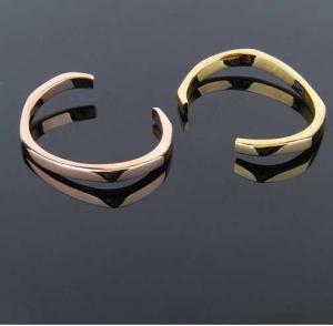 Wholesale 316L Stainless Steel Tagor Jewelry Fashion Luxury Design Bracelet Bangle BB002 from china suppliers