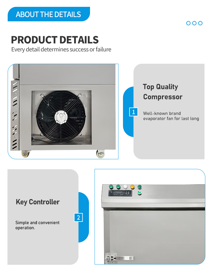 Vegetables Fruit Shrimp Tunnel Quick Freezer Quick Frozen Iqf Tunnel Blast Freezer -80C to 0C Temperature Control 220V