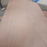 Wood Grain Sapele Face Sapele Faced Plywood For Commercial
