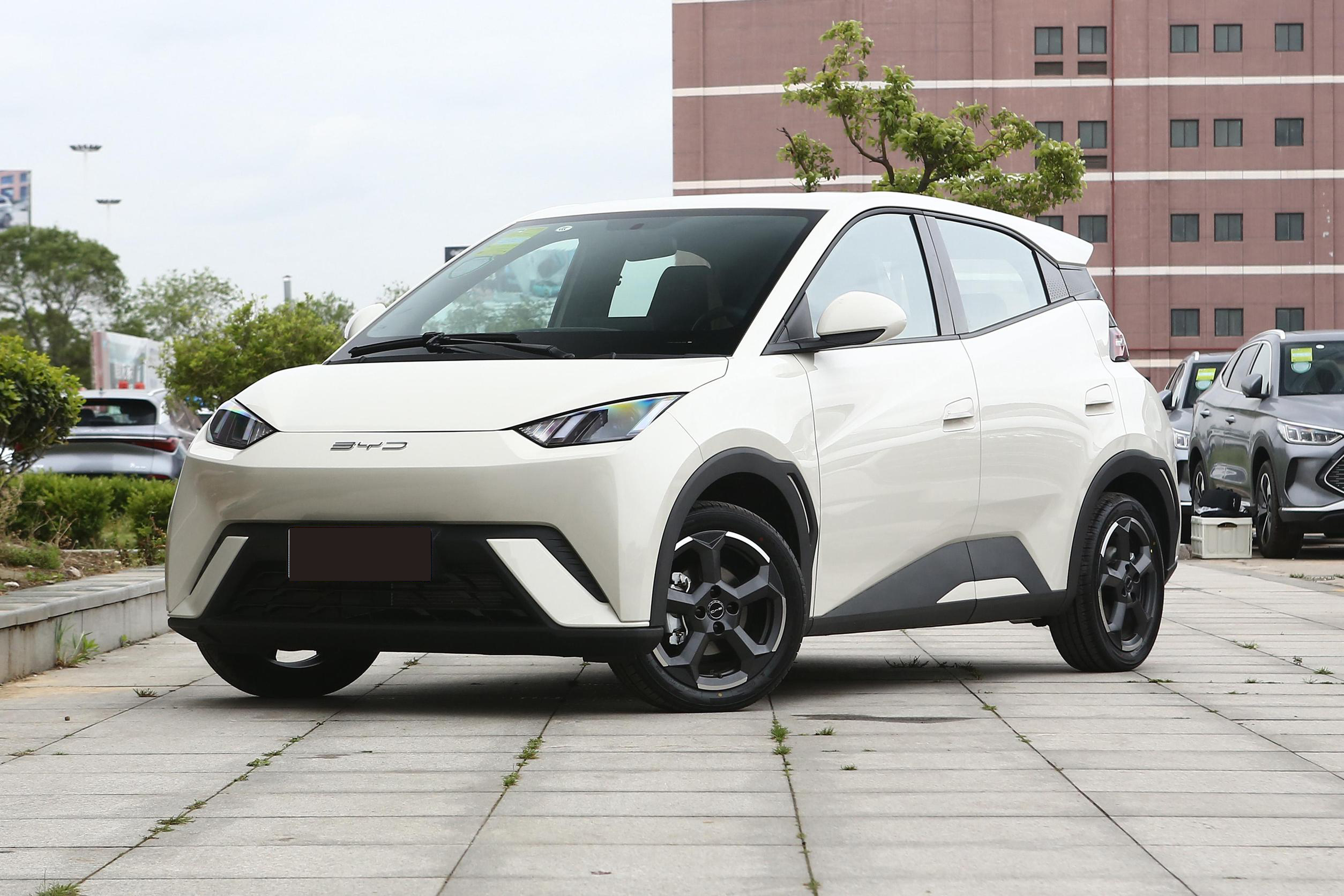 305 KM Long Range 2024 BYD Seagull Electric Car 5-Door Hatchback EV for Sale in Chinese Market