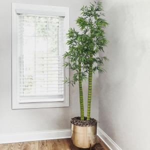 Wholesale Buddha Bamboo Artificial Potted Floor Plants Indoor Landing Decorative from china suppliers