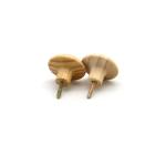 Pine wooden furniture knob wooden handle