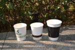 Double wall Paper Cups