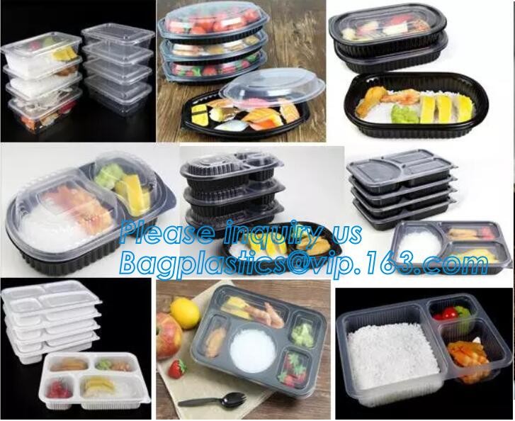 Factory Direct Lid Plastic Lunch Box Clear Food Container,Keep Fresh Crisper Food Box,Fresh Boxpp packaging disposable c