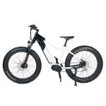 Disc Brake and 20*4.0 KENDA Tire High Power Electric Mountain Bike for City