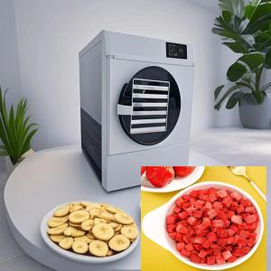 Wholesale 6Kg 10Kg Home Freeze Dryer Drying Cycle 20-24 Hours from china suppliers