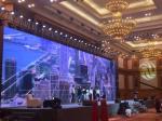 Leave Messages Big Advertising Indoor Led Screens , rent video wall display