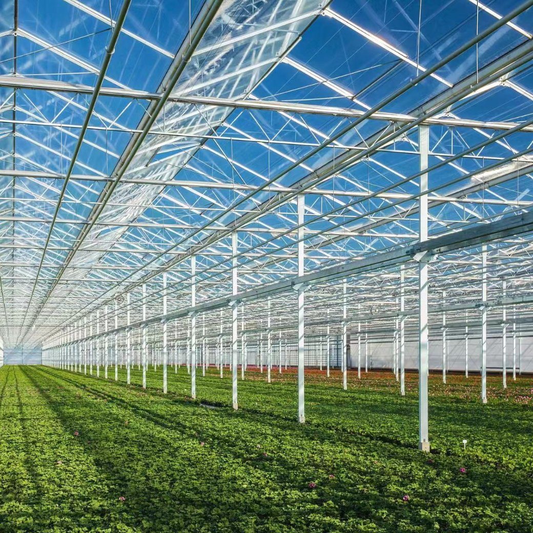 Commercial Heating Method Garden Glass Greenhouse