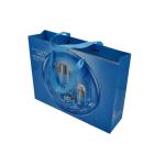 Glossy Luxury Shopping Paper Bag Boutique Packaging 190gsm Anti Scratch For